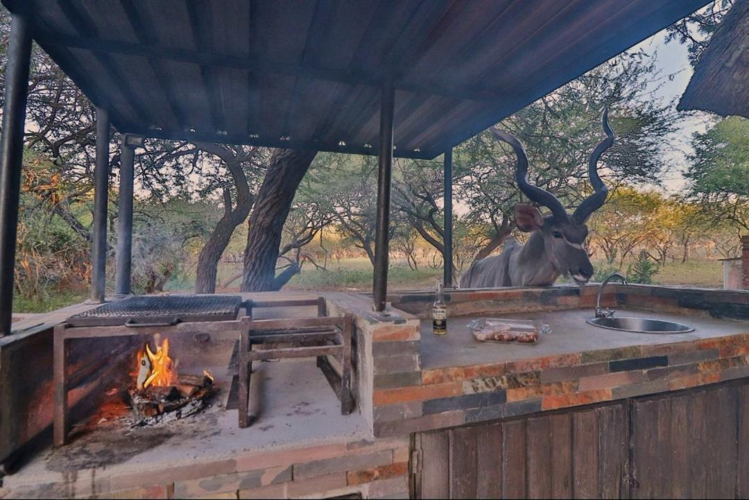 Ferienhaus P.a.p.e's Retreat